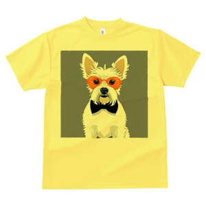 EGXgnChzCgeA TVc  j[NfUCfB[X t@  t vg lJWA 킢 lԗp Mtg I ҏ΍ Kl EGXgnC