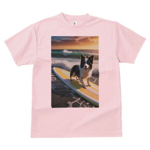 {[_[R[ TVc  j[NfUCfB[X t@  t vg lJWA 킢 lԗp Mtg I ҏ΍ g {[_[R[ C T[t{[h r[`