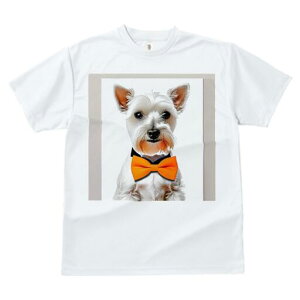 EGXgnChzCgeA TVc  j[NfUCfB[X t@  t vg lJWA 킢 lԗp Mtg I ҏ΍ lN^C EGXgn