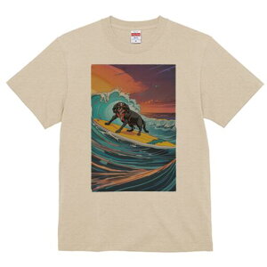 s TVc  j[NfUCY LbY t@  t vg lJWA 킢 lԗp Mtg I ҏ΍ g s T[tB C [Ă