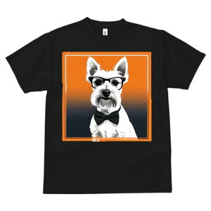 EGXgnChzCgeA TVc  j[NfUCfB[X t@  t vg lJWA 킢 lԗp Mtg I ҏ΍ Kl EGXgnC