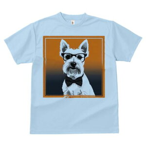 EGXgnChzCgeA TVc  j[NfUCfB[X t@  t vg lJWA 킢 lԗp Mtg I ҏ΍ Kl EGXgnC