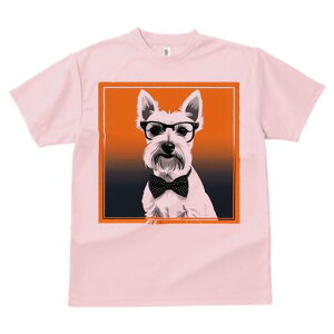 EGXgnChzCgeA TVc  j[NfUCY LbY t@  t vg lJWA 킢 lԗp Mtg I ҏ΍ Kl EGXgn