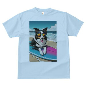 {[_[R[ TVc  j[NfUCfB[X t@  t vg lJWA 킢 lԗp Mtg I ҏ΍ TOX {[_[R[ T[t{[h 