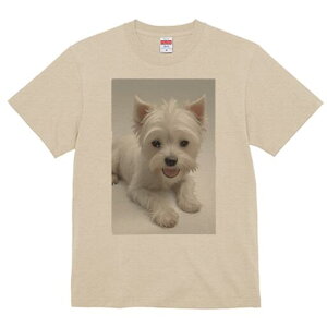 EGXgnChzCgeA TVc  j[NfUCfB[X t@  t vg lJWA 킢 lԗp Mtg I ҏ΍ ybg EGXgnC