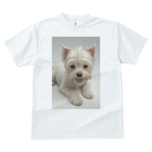 �E�G�X�g�n�C�����h�z���C�g�e���A T�V���c ���� ���j�[�N�f�U�C�����f�B�[�X ���t�@�� ���� �t�� �v�����g ��l�J�W���A�� ���킢�� �l�ԗp �M�t�g ���I �ҏ��΍� �y�b�g �E�G�X�g�n�C��