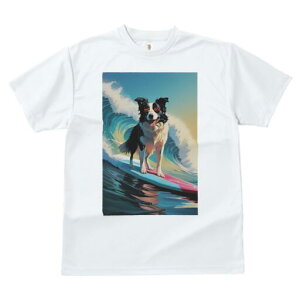 {[_[R[ TVc  j[NfUCfB[X t@  t vg lJWA 킢 lԗp Mtg I ҏ΍ g {[_[R[ T[tB C 