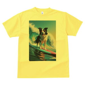 {[_[R[ TVc  j[NfUCfB[X t@  t vg lJWA 킢 lԗp Mtg I ҏ΍ g {[_[R[ T[tB C 