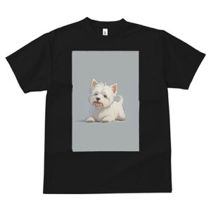 EGXgnChzCgeA TVc  j[NfUCfB[X t@  t vg lJWA 킢 lԗp Mtg I ҏ΍ EGXgnChz