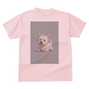 EGXgnChzCgeA TVc  j[NfUCfB[X t@  t vg lJWA 킢 lԗp Mtg I ҏ΍ EGXgnChz