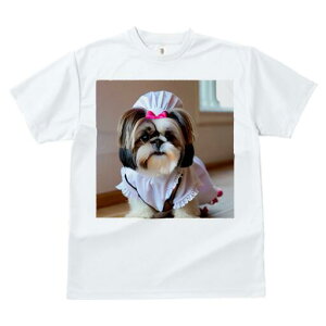 V[Y[ TVc  j[NfUCfB[X t@  t vg lJWA 킢 lԗp Mtg I ҏ΍ Ch V[Y[ Xq {