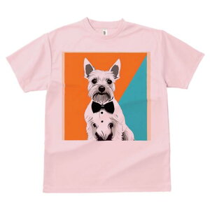 EGXgnChzCgeA TVc  j[NfUCfB[X t@  t vg lJWA 킢 lԗp Mtg I ҏ΍ lN^C EGXgn