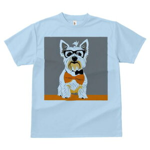 EGXgnChzCgeA TVc  j[NfUCfB[X t@  t vg lJWA 킢 lԗp Mtg I ҏ΍ Kl EGXgnC