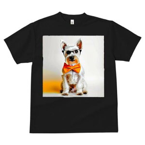 EGXgnChzCgeA TVc  j[NfUCY LbY t@  t vg lJWA 킢 lԗp Mtg I ҏ΍ lN^C EGX