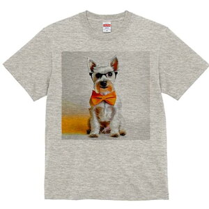 EGXgnChzCgeA TVc  j[NfUCfB[X t@  t vg lJWA 킢 lԗp Mtg I ҏ΍ lN^C EGXgn