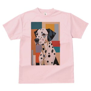 _VA TVc  j[NfUCfB[X t@  t vg lJWA 킢 lԗp Mtg I ҏ΍ _VA