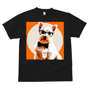 EGXgnChzCgeA TVc  j[NfUCfB[X t@  t vg lJWA 킢 lԗp Mtg I ҏ΍ Kl EGXgnC