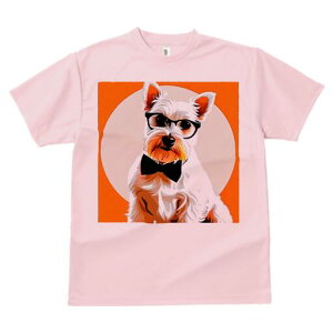 EGXgnChzCgeA TVc  j[NfUCY LbY t@  t vg lJWA 킢 lԗp Mtg I ҏ΍ Kl EGXgn