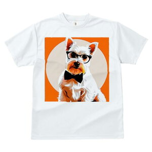 EGXgnChzCgeA TVc  j[NfUCfB[X t@  t vg lJWA 킢 lԗp Mtg I ҏ΍ Kl EGXgnC