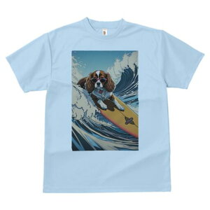 LoA TVc  j[NfUCY LbY t@  t vg lJWA 킢 lԗp Mtg I ҏ΍ g LoA T[tB TOX