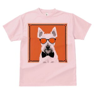 EGXgnChzCgeA TVc  j[NfUCfB[X t@  t vg lJWA 킢 lԗp Mtg I ҏ΍ TOX EGXgn