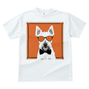 EGXgnChzCgeA TVc  j[NfUCY LbY t@  t vg lJWA 킢 lԗp Mtg I ҏ΍ TOX EGX