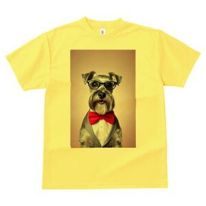 ~j`AViEU[ TVc  j[NfUCfB[X t@  t vg lJWA 킢 lԗp Mtg I ҏ΍ lN^C ~j`AViEU