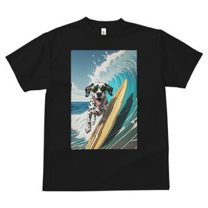 _VA TVc  j[NfUCfB[X t@  t vg lJWA 킢 lԗp Mtg I ҏ΍ g _VA T[tB C TOX