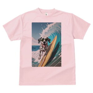 _VA TVc  j[NfUCfB[X t@  t vg lJWA 킢 lԗp Mtg I ҏ΍ g _VA T[tB C TOX