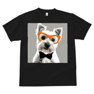 EGXgnChzCgeA TVc  j[NfUCY LbY t@  t vg lJWA 킢 lԗp Mtg I ҏ΍ Kl EGXgn