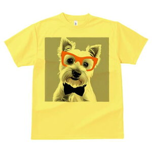 EGXgnChzCgeA TVc  j[NfUCfB[X t@  t vg lJWA 킢 lԗp Mtg I ҏ΍ Kl EGXgnC