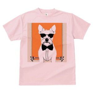 EGXgnChzCgeA TVc  j[NfUCfB[X t@  t vg lJWA 킢 lԗp Mtg I ҏ΍ TOX EGXgn