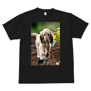 AtKnEh TVc  j[NfUCfB[X t@  t vg lJWA 킢 lԗp Mtg I ҏ΍  AtKnEh Ђ܂ y Vx