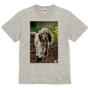 AtKnEh TVc  j[NfUCfB[X t@  t vg lJWA 킢 lԗp Mtg I ҏ΍  AtKnEh Ђ܂ y Vx