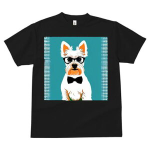 EGXgnChzCgeA TVc  j[NfUCY LbY t@  t vg lJWA 킢 lԗp Mtg I ҏ΍ Kl EGXgn