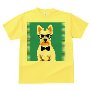 EGXgnChzCgeA TVc  j[NfUCfB[X t@  t vg lJWA 킢 lԗp Mtg I ҏ΍ Kl EGXgnC