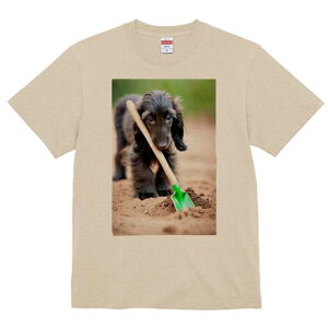 AtKnEh TVc  j[NfUCfB[X t@  t vg lJWA 킢 lԗp Mtg I ҏ΍ Vx AtKnEh 