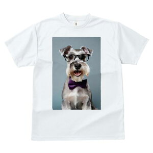 ~j`AViEU[ TVc  j[NfUCfB[X t@  t vg lJWA 킢 lԗp Mtg I ҏ΍ Kl ~j`AViEU[ 