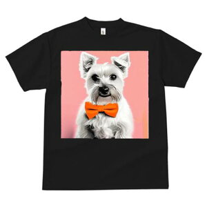 ~j`AViEU[ TVc  j[NfUCfB[X t@  t vg lJWA 킢 lԗp Mtg I ҏ΍ lN^C ~j`AViEU