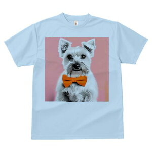 ~j`AViEU[ TVc  j[NfUCfB[X t@  t vg lJWA 킢 lԗp Mtg I ҏ΍ lN^C ~j`AViEU