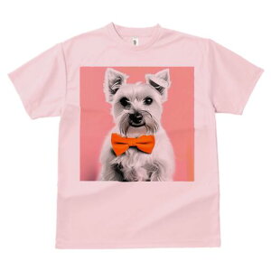 ~j`AViEU[ TVc  j[NfUCfB[X t@  t vg lJWA 킢 lԗp Mtg I ҏ΍ lN^C ~j`AViEU