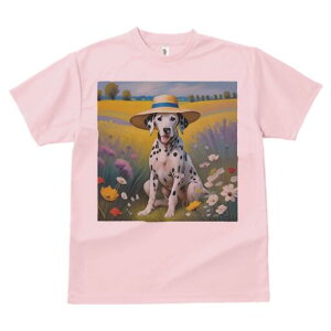 _VA TVc  j[NfUCfB[X t@  t vg lJWA 킢 lԗp Mtg I ҏ΍ Xq _VA   