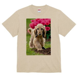 AtKnEh TVc  j[NfUCfB[X t@  t vg lJWA 킢 lԗp Mtg I ҏ΍  AtKnEh  y