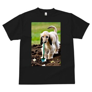 AtKnEh TVc  j[NfUCfB[X t@  t vg lJWA 킢 lԗp Mtg I ҏ΍ Vx AtKnEh  y