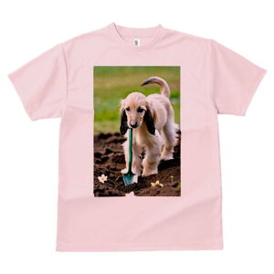 AtKnEh TVc  j[NfUCfB[X t@  t vg lJWA 킢 lԗp Mtg I ҏ΍ Vx AtKnEh  y