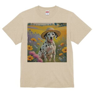 _VA TVc  j[NfUCfB[X t@  t vg lJWA 킢 lԗp Mtg I ҏ΍ Xq _VA 