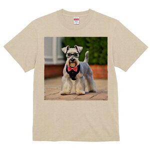 ~j`AViEU[ TVc  j[NfUCY LbY t@  t vg lJWA 킢 lԗp Mtg I ҏ΍ Kl ~j`AViEU