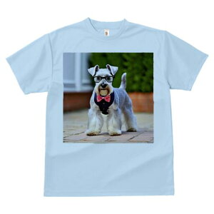 ~j`AViEU[ TVc  j[NfUCfB[X t@  t vg lJWA 킢 lԗp Mtg I ҏ΍ Kl ~j`AViEU[ 