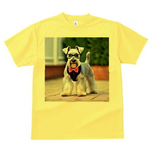 ~j`AViEU[ TVc  j[NfUCfB[X t@  t vg lJWA 킢 lԗp Mtg I ҏ΍ Kl ~j`AViEU[ 