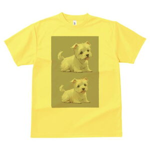 EGXgnChzCgeA TVc  j[NfUCfB[X t@  t vg lJWA 킢 lԗp Mtg I ҏ΍ EGXgnChz